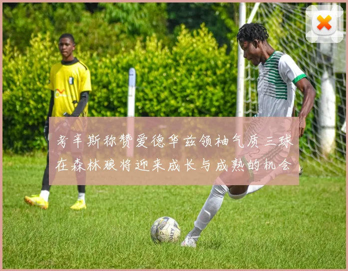 考辛斯称赞爱德华兹领袖气质三球在森林狼将迎来成长与成熟的机会